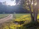 Camino al molino