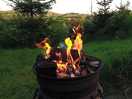Nice fire pits - bring a bbq grill to sit on top for your burgers!