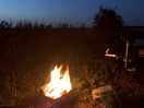 Campfire