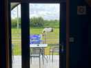 Lovely seeing the horses whilst making a brew
