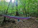 Hammocks
