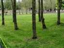 Surrounding