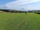 The 2 acre dog pen, fantastic 🐾