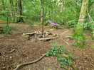 Fire pit area