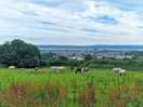 Glorious views