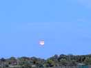 Hot evening moon