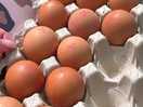Fresh eggs from the farm