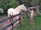 Ranch lambergar