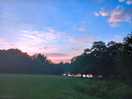 Sunset on the broad