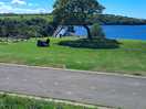 View of the lake/dam from the cafe