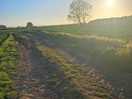 Nice walk