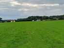 View from gate entrance up towards top of the site.