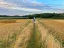 Beautiful walks
