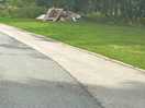 This is the wood as driving out for the day