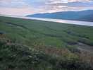 Estuary
