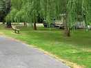 Site