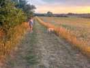 Great walks