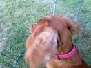 Rufus loved the site.