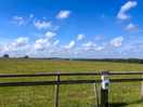 Lovely view
