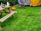 Small glamping tent and surrounds.