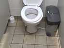 Overflowing sanitary bins