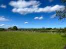Lovely walk around the camp