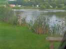View from our window.
