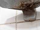 Soap dish