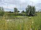 Remote area. lovely gardens.