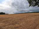 View across the neighboring field