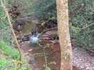 "waterfall" in the brook.