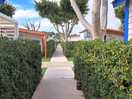 Walkways.