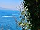 Aussicht
