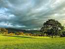 As a storm came in and evening set in.