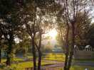 Honey cottage caravan park