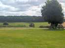 View from our vw van
