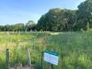 Rewilding project