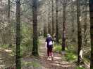 Nearby woods