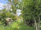 Walking trail near high casterton