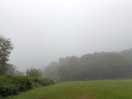 Foggy day