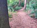 The walk to the river.