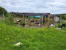 Cluckingham palace