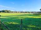 Neighbouring field