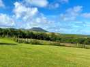 Morning view from outside our bell tent.