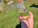 Nice prosecco for me while the husband & daughter fished