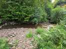 The beautiful brook