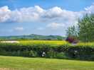 Looking out to glastonbury tor, may 2025