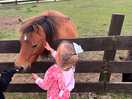Pony
