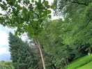 Beautiful grounds
