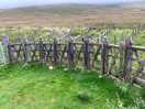 Fell sheep pens
